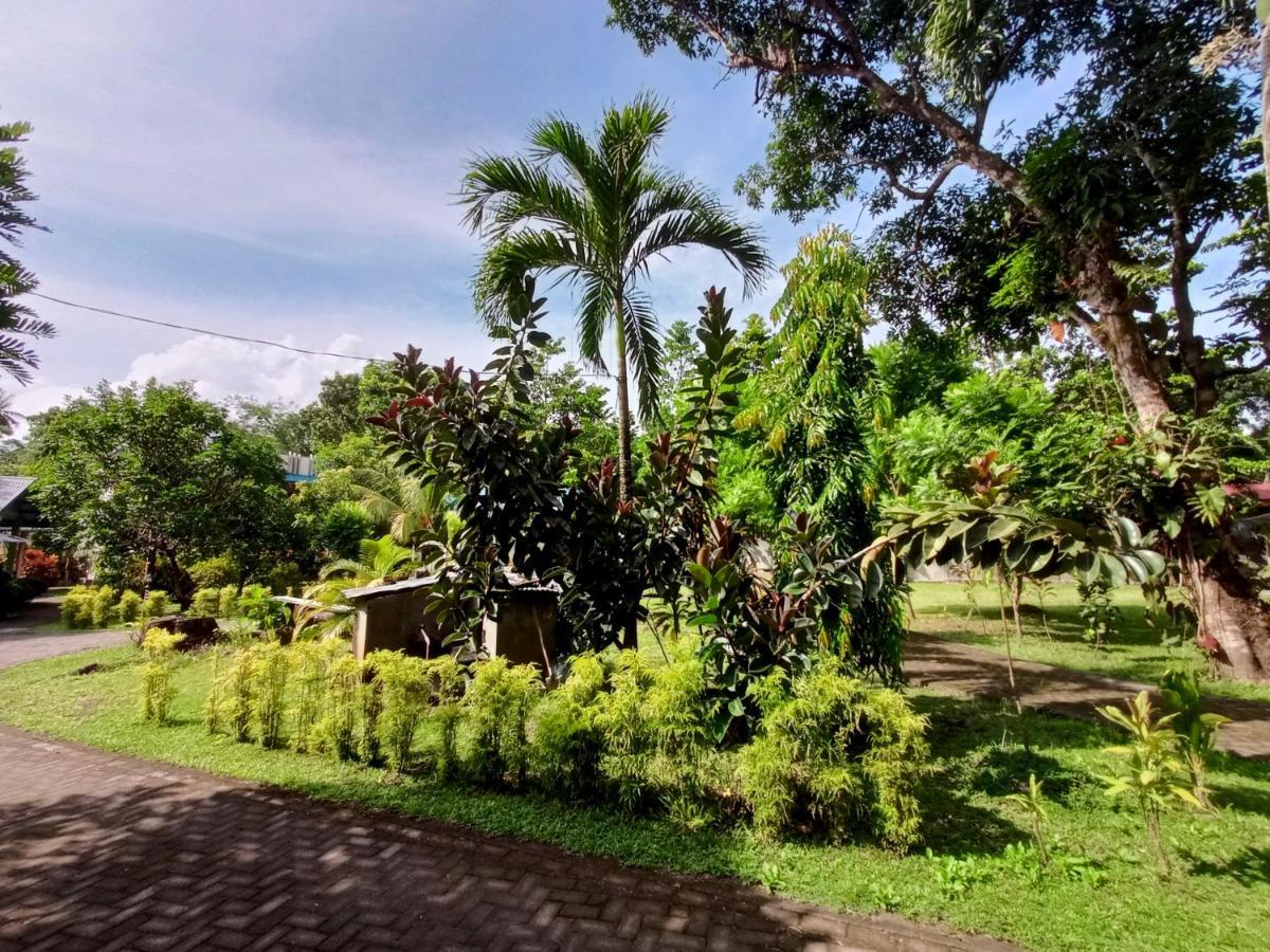 Tangkoko Lodge Bitung Dış mekan fotoğraf