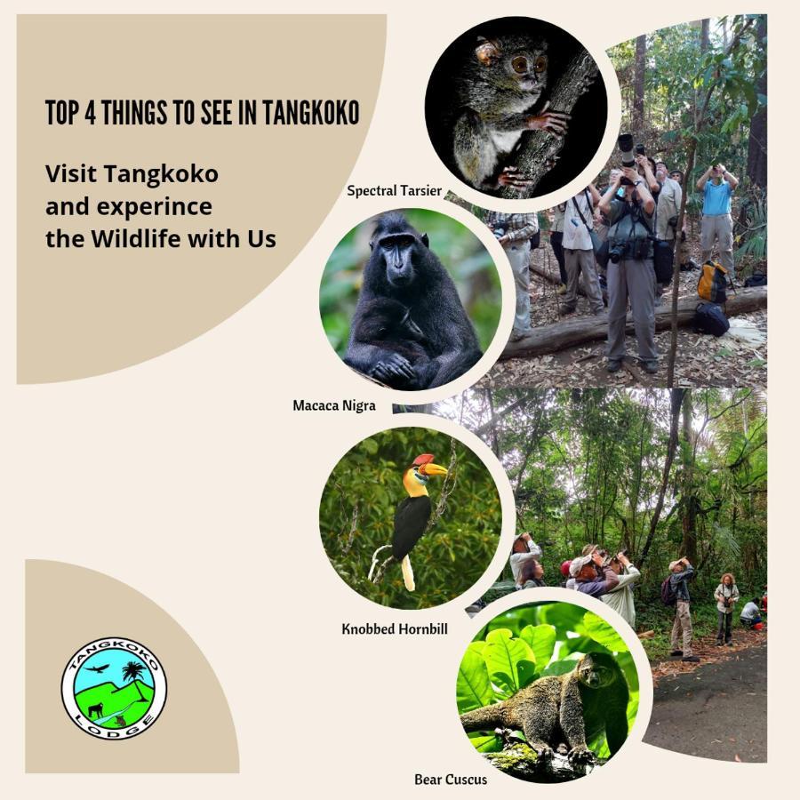 Tangkoko Lodge Bitung Dış mekan fotoğraf